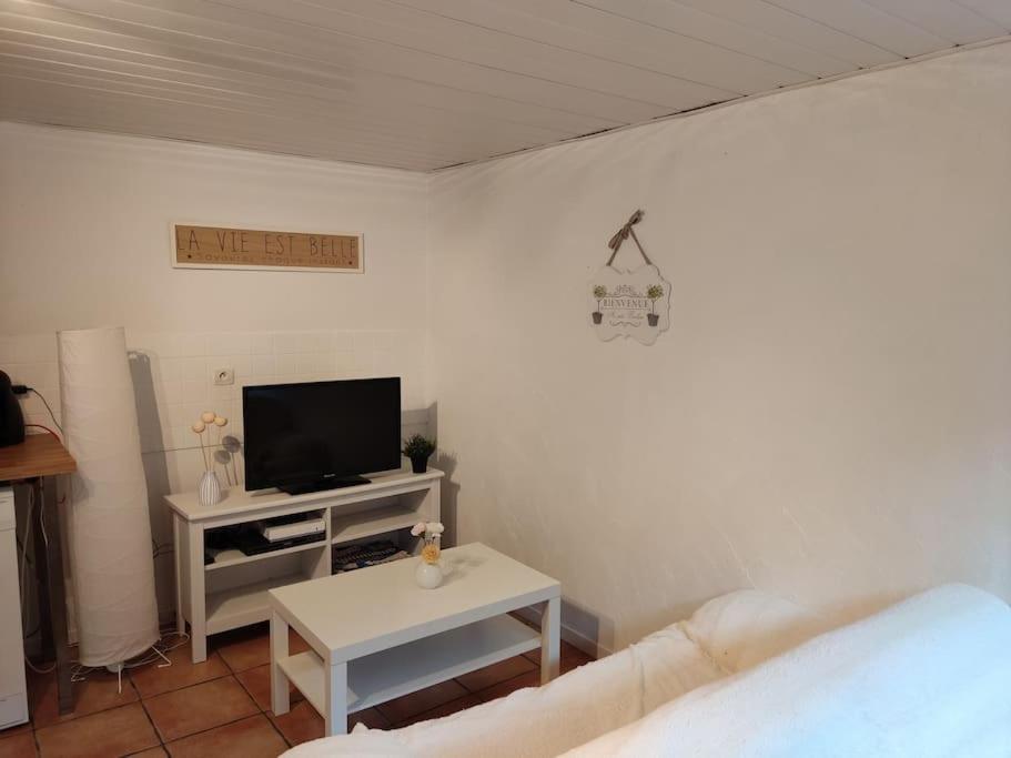 Appartement En Rez De Jardin Et Terrasse Ds Villa Hyères Eksteriør billede